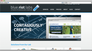 work-blue-riot-labs work-blue-riot-labs